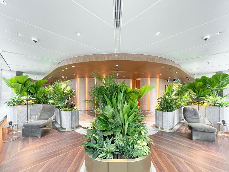 A modern indoor lounge features lush green plants, wooden floors, two gray lounge chairs, marble planters, and a Ligkt™ Stretch Membrane Ceiling with a curved wooden accent, creating a bright and inviting atmosphere.