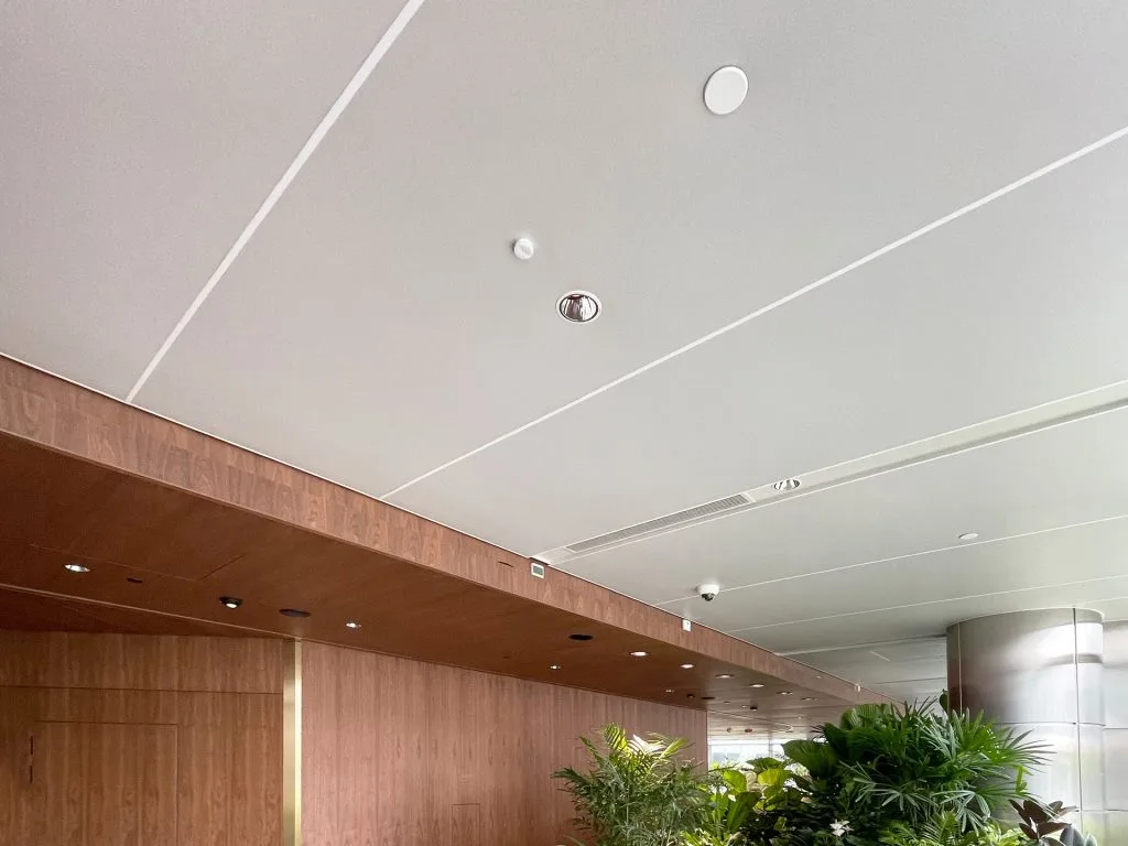 A modern indoor space with a wood-paneled wall, Ligkt™ Stretch Membrane Ceiling featuring recessed lighting, and green potted plants in the foreground. The design is clean and minimalistic.