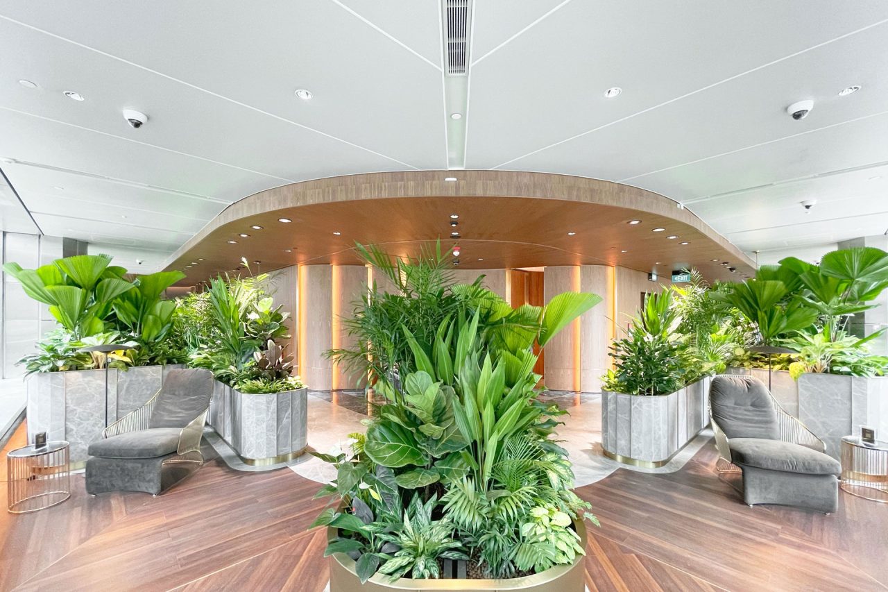 A modern indoor lounge features lush green plants, wooden floors, two gray lounge chairs, marble planters, and a Ligkt™ Stretch Membrane Ceiling with a curved wooden accent, creating a bright and inviting atmosphere.