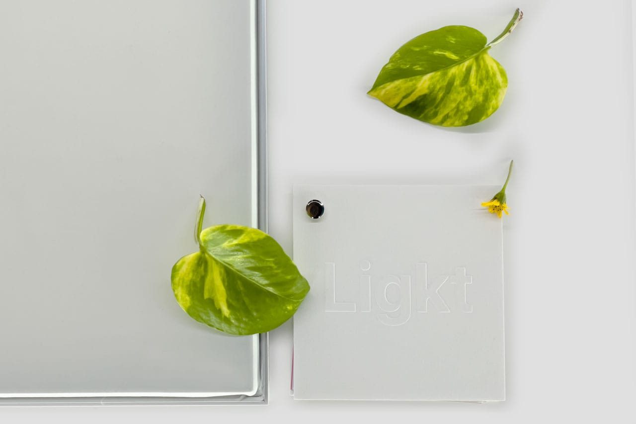 A large frosted glass panel, a smaller frosted square labeled Light, and two green-yellow variegated leaves with a small yellow flower rest on a white background, evoking the clean aesthetic of a Ligkt™ Stretch Membrane Ceiling.